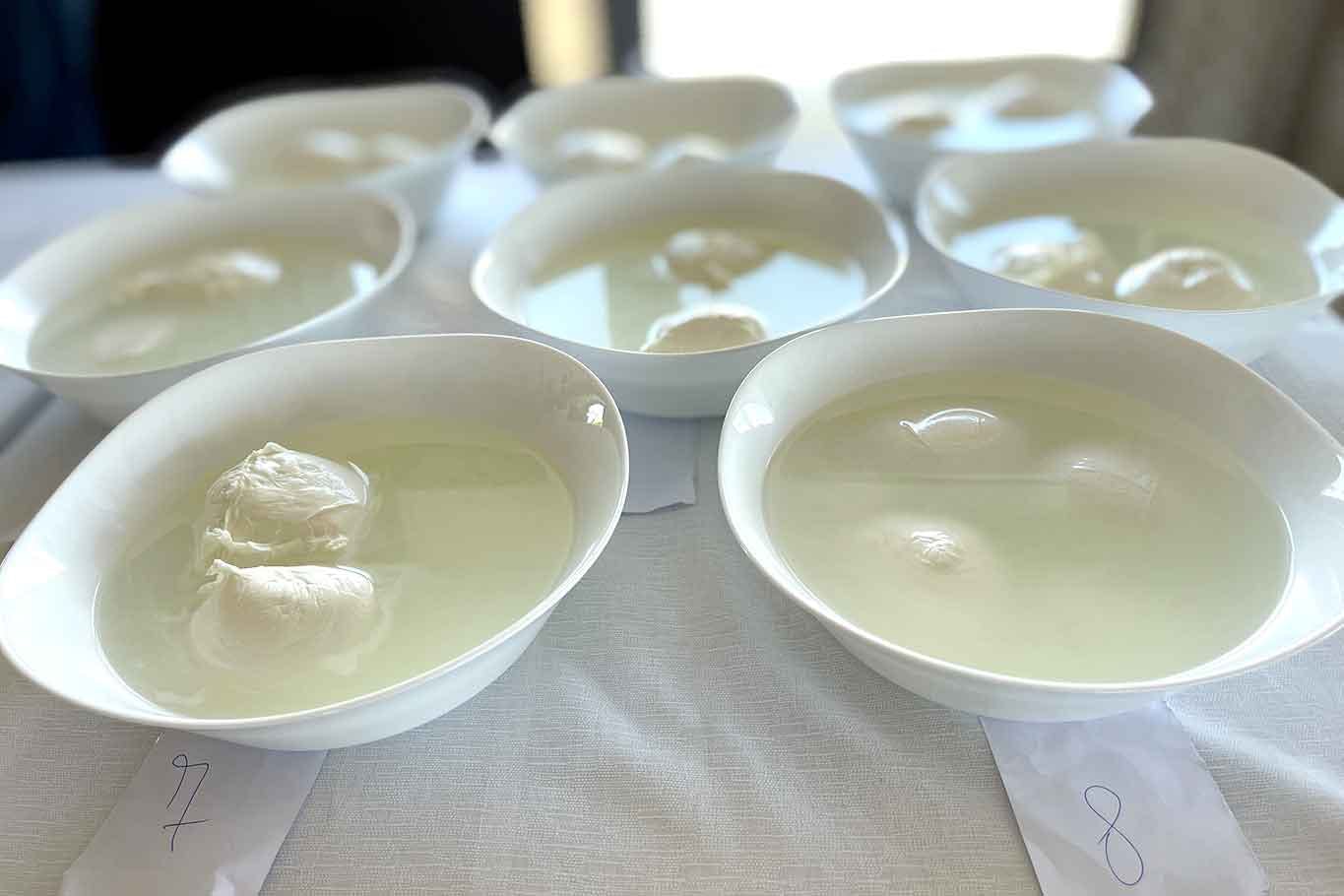 Mozzarella: migliori e peggiori al supermercato per Altroconsumo