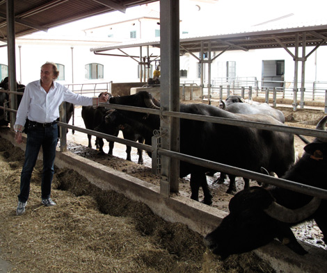 Falsi veleni e vera bufala, parla Gennaro D’Alessio