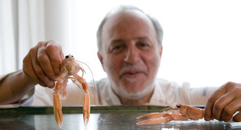 I segreti di 10 varietà di pesce li spiega Luciano Zazzeri