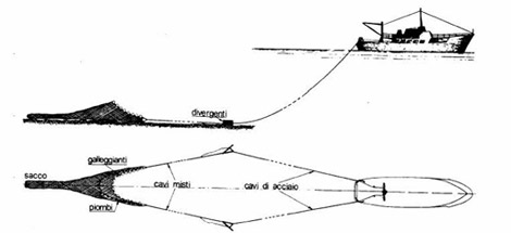 rete-strascico-2