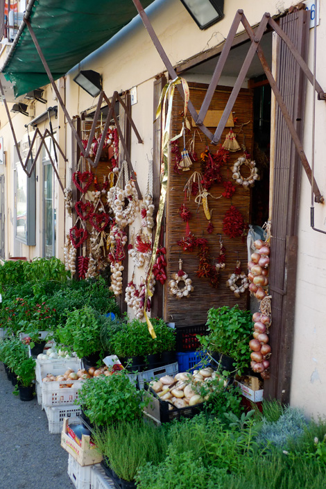 terracina-rinaudo-aromi