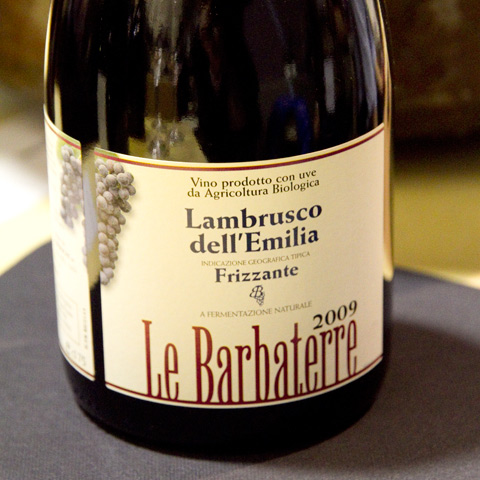 assaggi-lambrusco-le-barbaterre