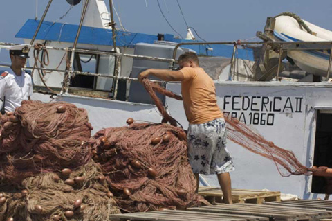 Tonno rosso e bianchetti. L&#8217;Italia maglia nera per la pesca illegale