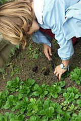 E&#8217; in arrivo l&#8217;agri-nido. Per i bambini della generazione Fruttolo