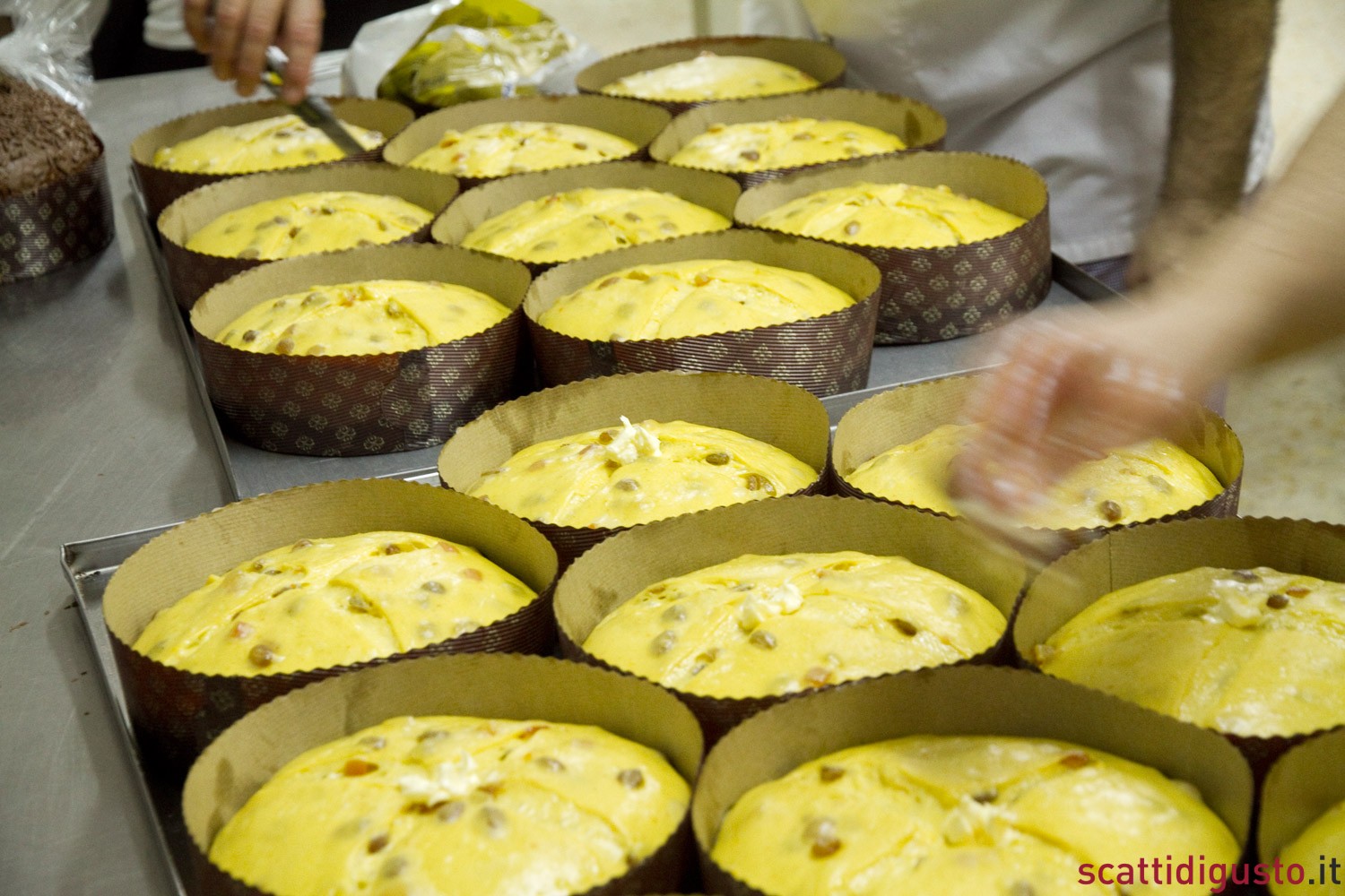 Natale. Alfonso Pepe fa il panettone più buono del mondo