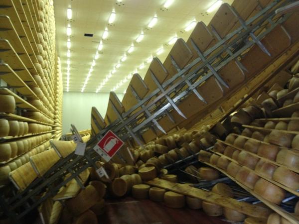 Milano. Comprare il parmigiano reggiano per il terremoto con una mail