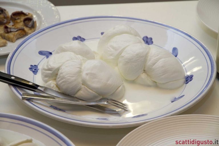 Mozzarella di Bufala. Il Consorzio chiude a causa dello stabilimento unico