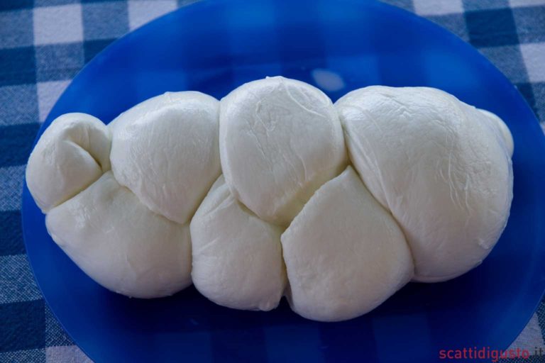 I 10 migliori caseifici di mozzarella di bufala li trovate tutti a Paestum