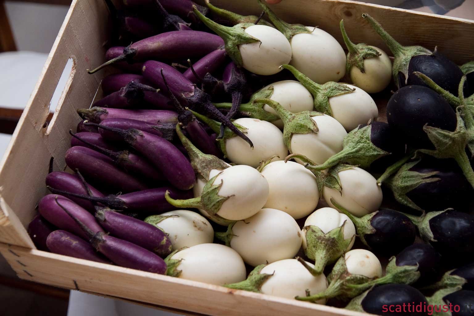 Ricetta: come conservare le melanzane sott&#8217;olio