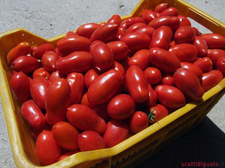 Conserva di pomodoro, la ricetta classica da fare a casa