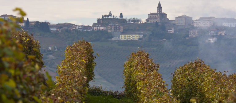 Guida ragionata ai 10 migliori vini delle Langhe in trasferta oggi a Roma