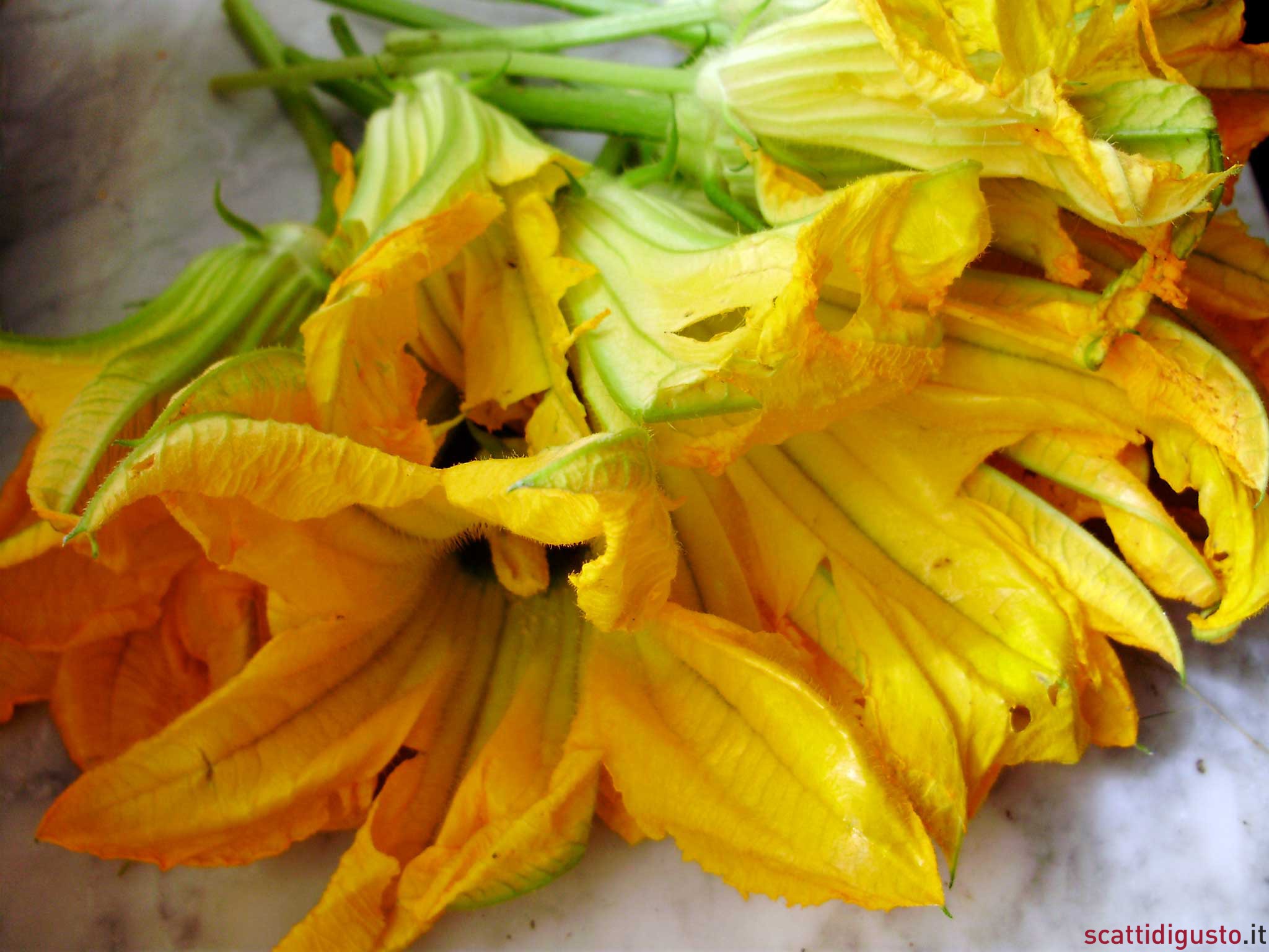 Pasta, fiori di zucca e guanciale: la ricetta per scoprire la canapa