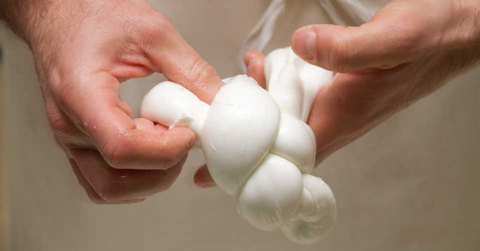 Mozzarella di Bufala. I 5 migliori caseifici di Paestum