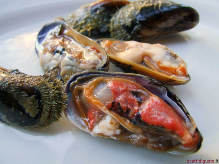 Cozza Pelosa a Bari, guida fotografica alla degustazione