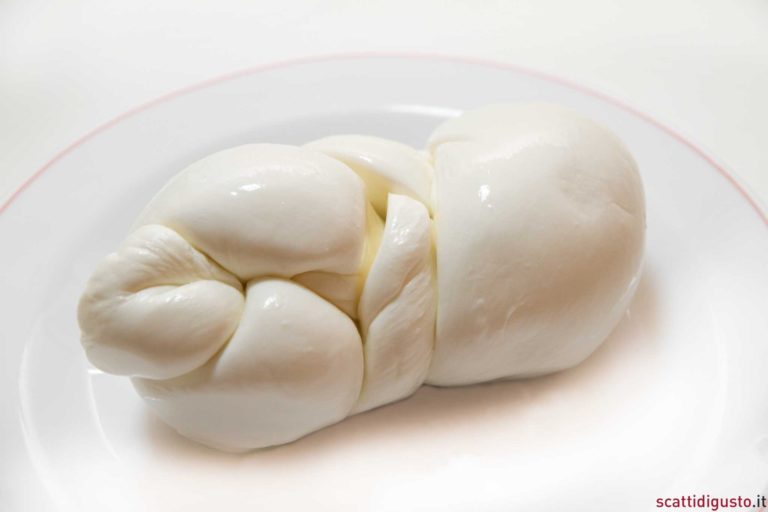 La migliore mozzarella di bufala sulla strada delle vacanze senza deviazioni faticose