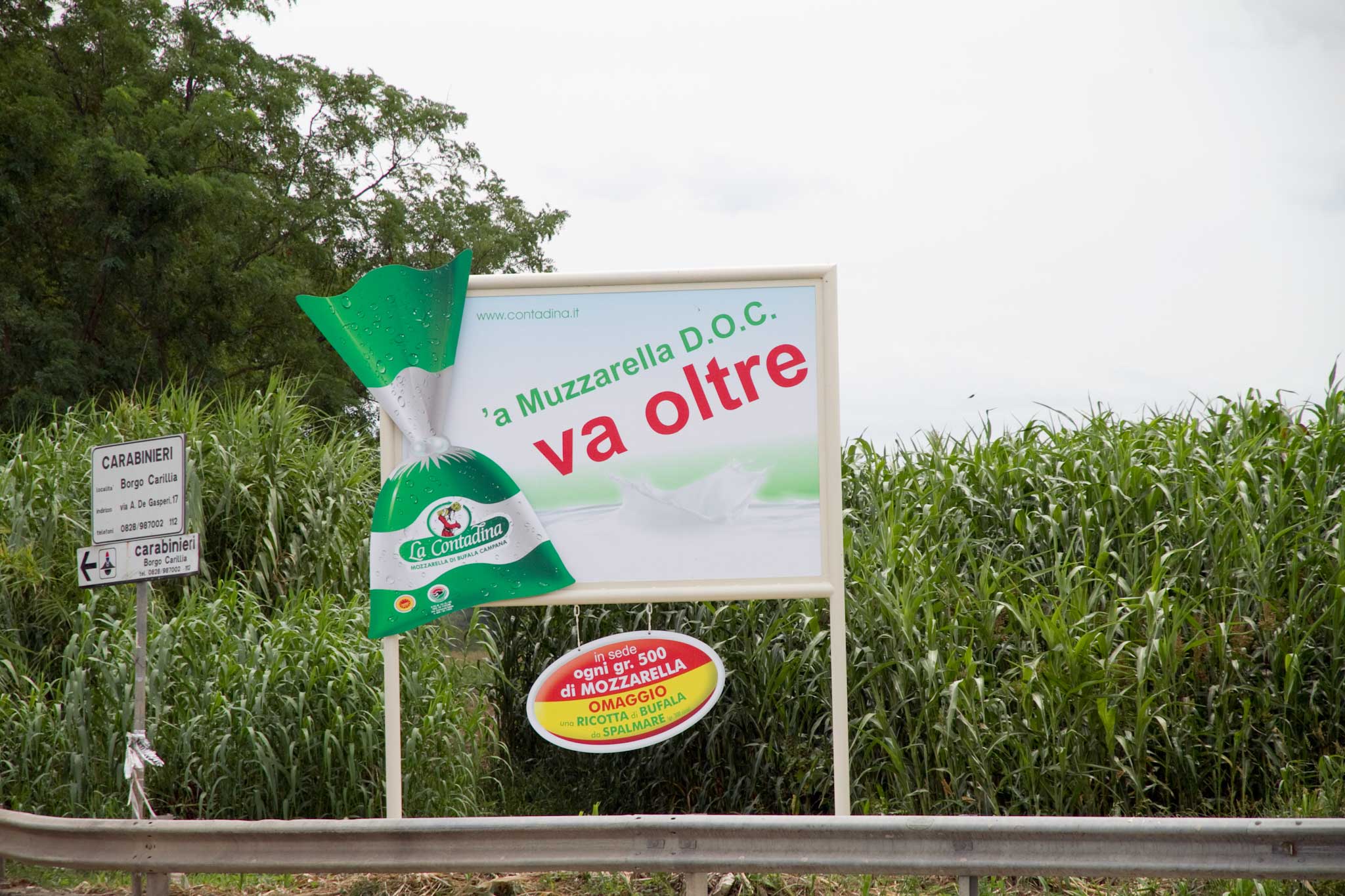 La vera mozzarella di bufala è Doc. Non Dop, caro il mio consorzio di tutela