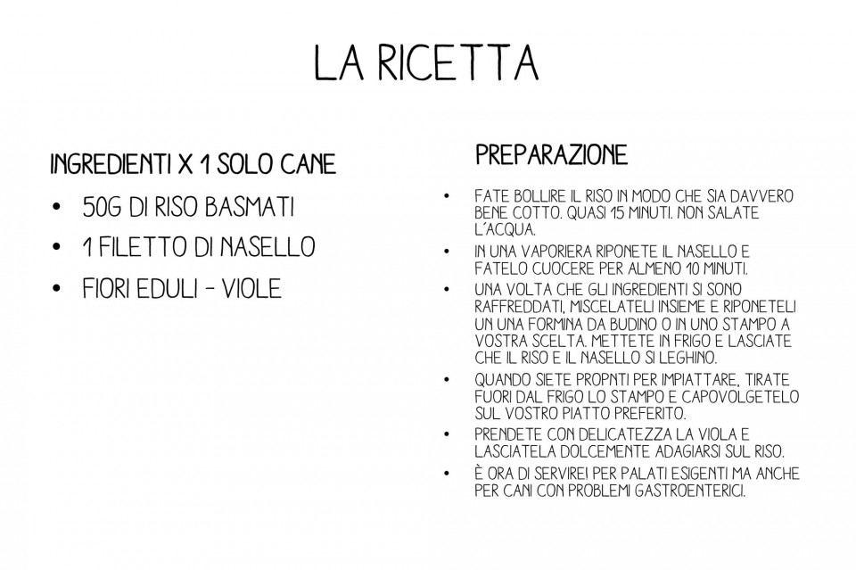 ricetta-fior-fior-di-riso-per-cani