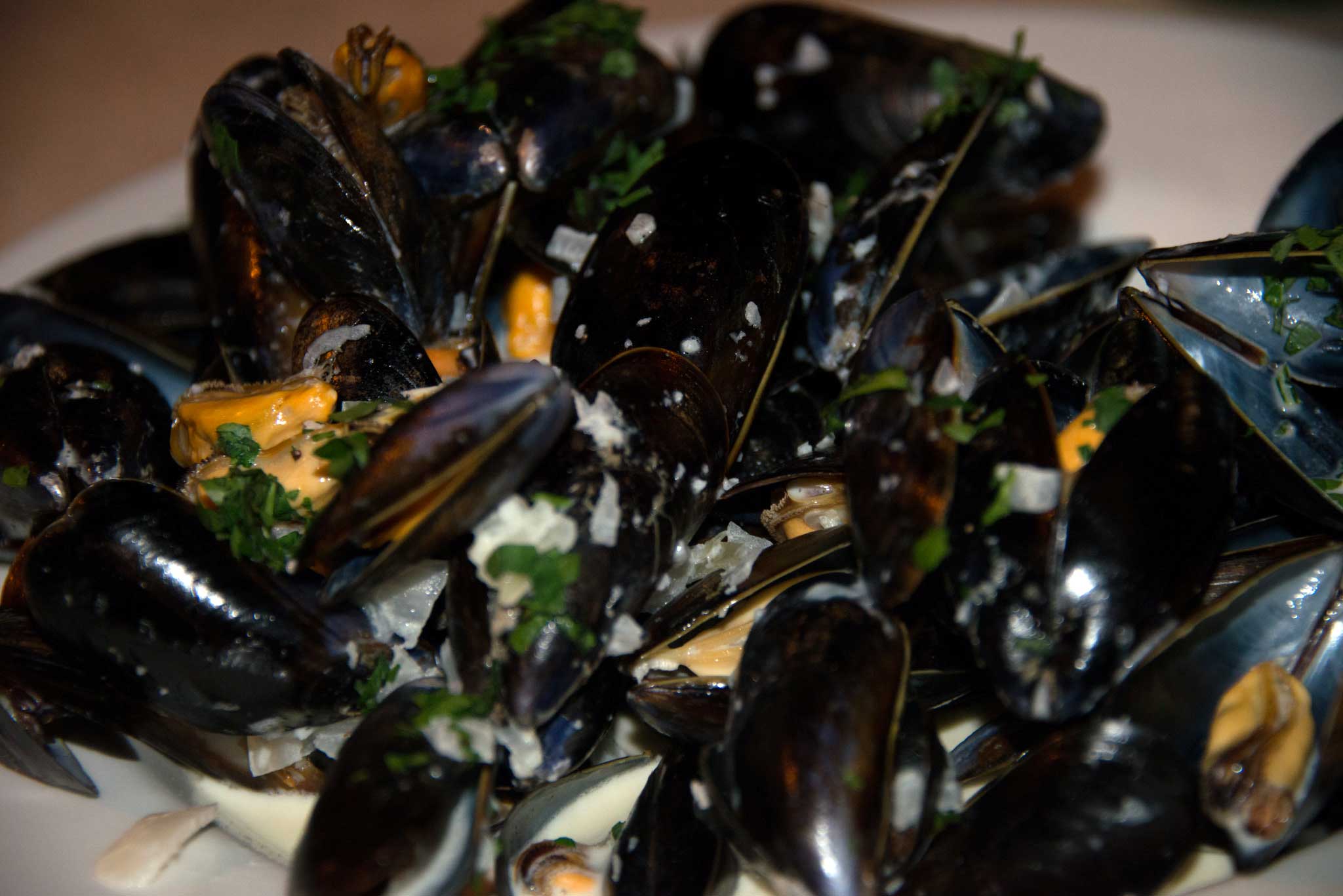 cozze