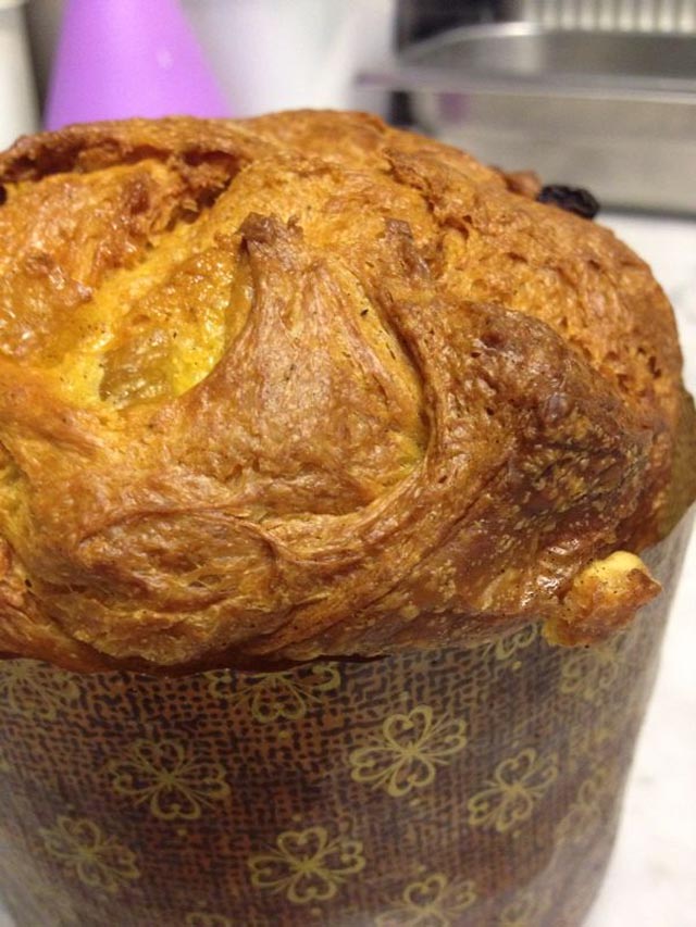 panettone Metamorfosi di John Regefalk