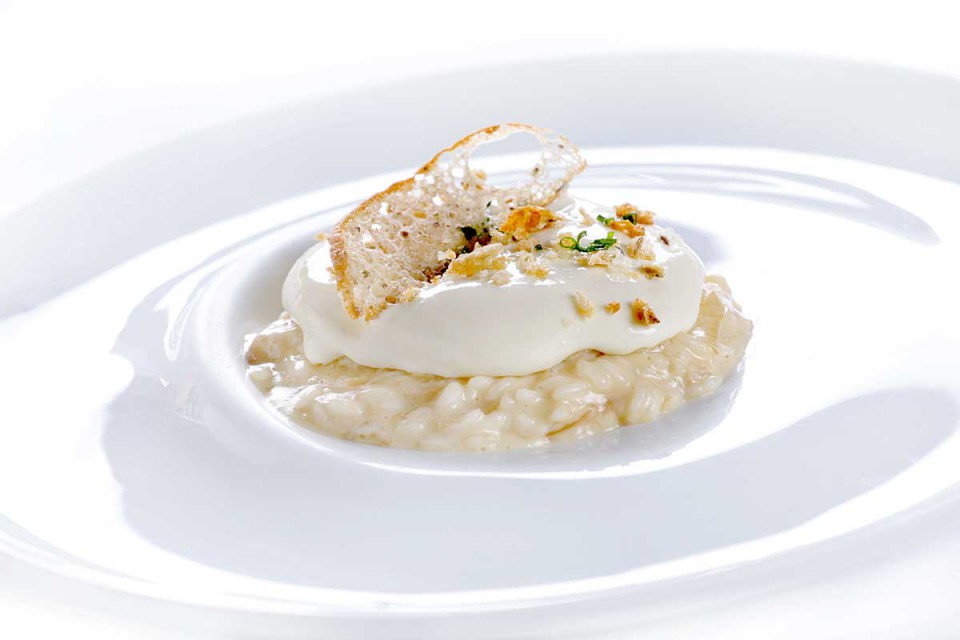 Risotto mit Graukäse