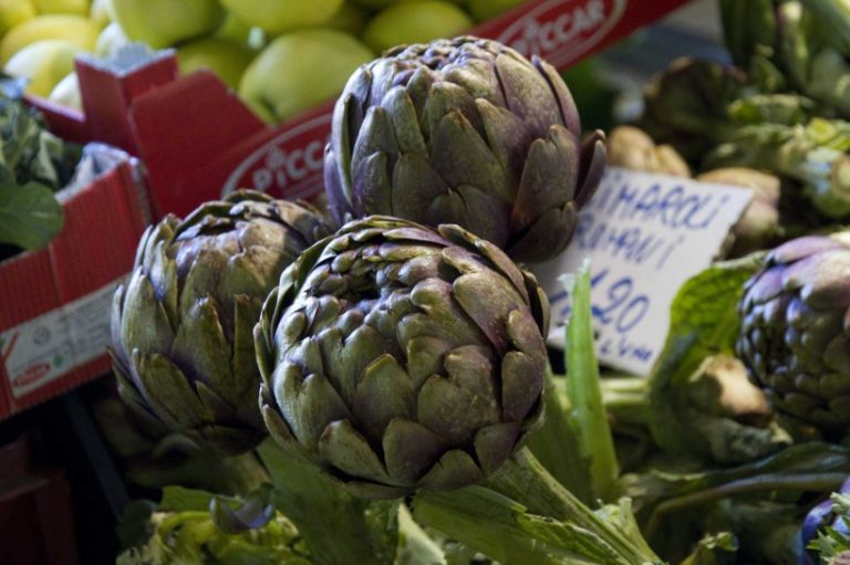 Roma. A Capannelle apre il nuovo Farmer&#8217;s Market con la birra artigianale