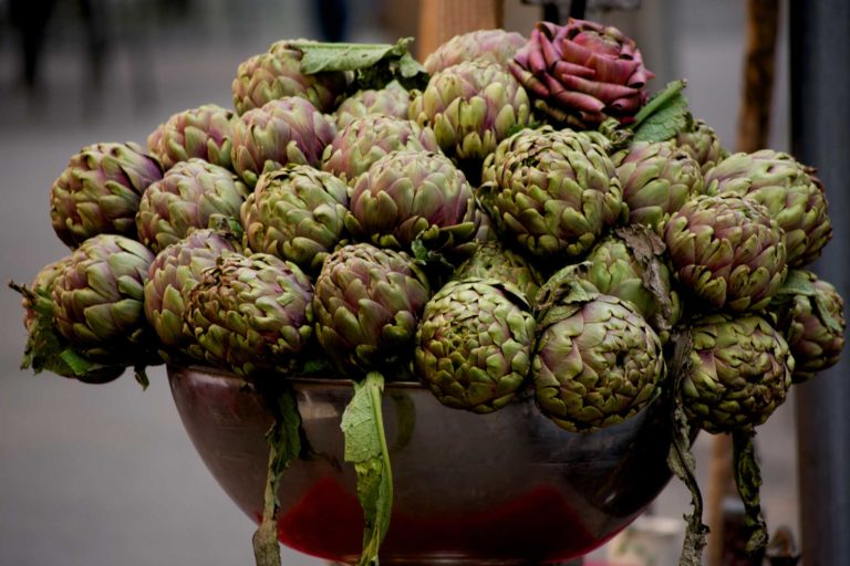 Carciofi. 10 qualità e ricette per la pasta, il forno e la brace