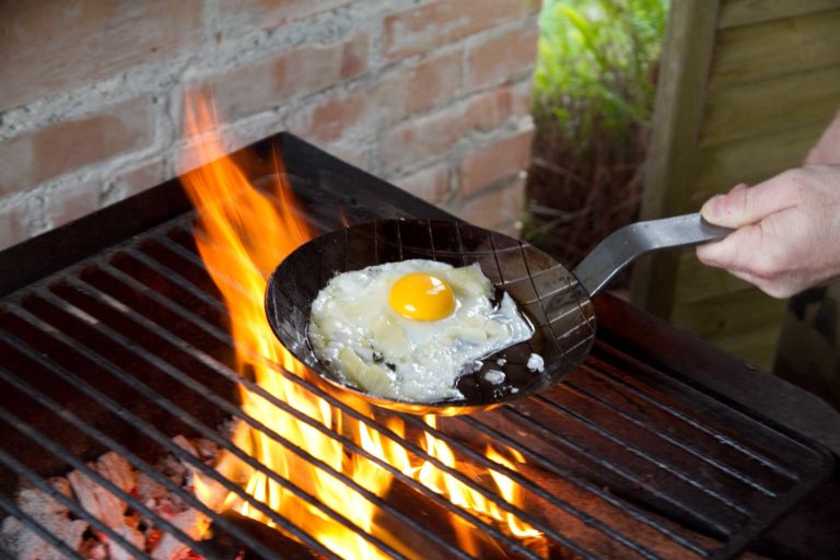 Barbecue. Guida a 15 grandi vini per carne, pollame, pesce e verdure