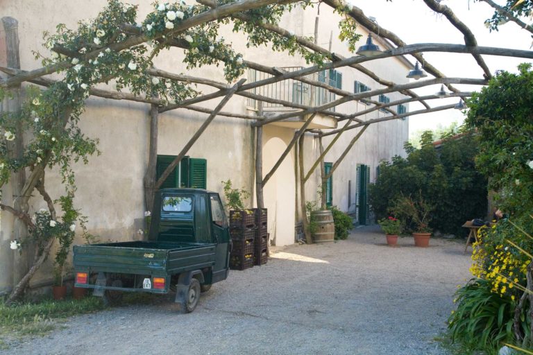 Agriturismo. 10 indirizzi in Italia per vacanze gourmet a Pasqua