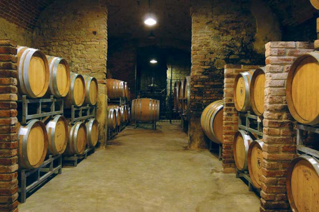 tenuta tenaglia cantina