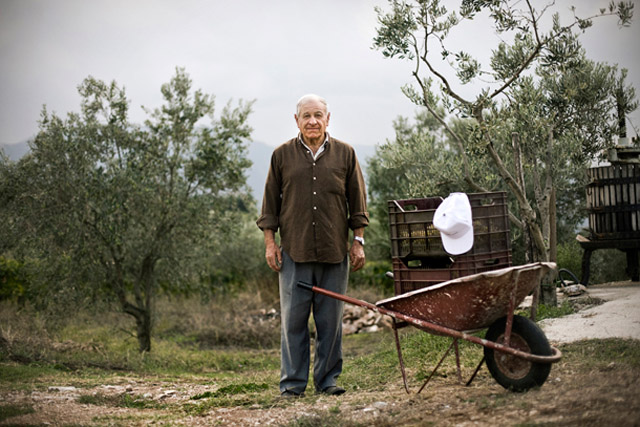 5 insoliti vini del Sannio da 5 a 9 € in cantina