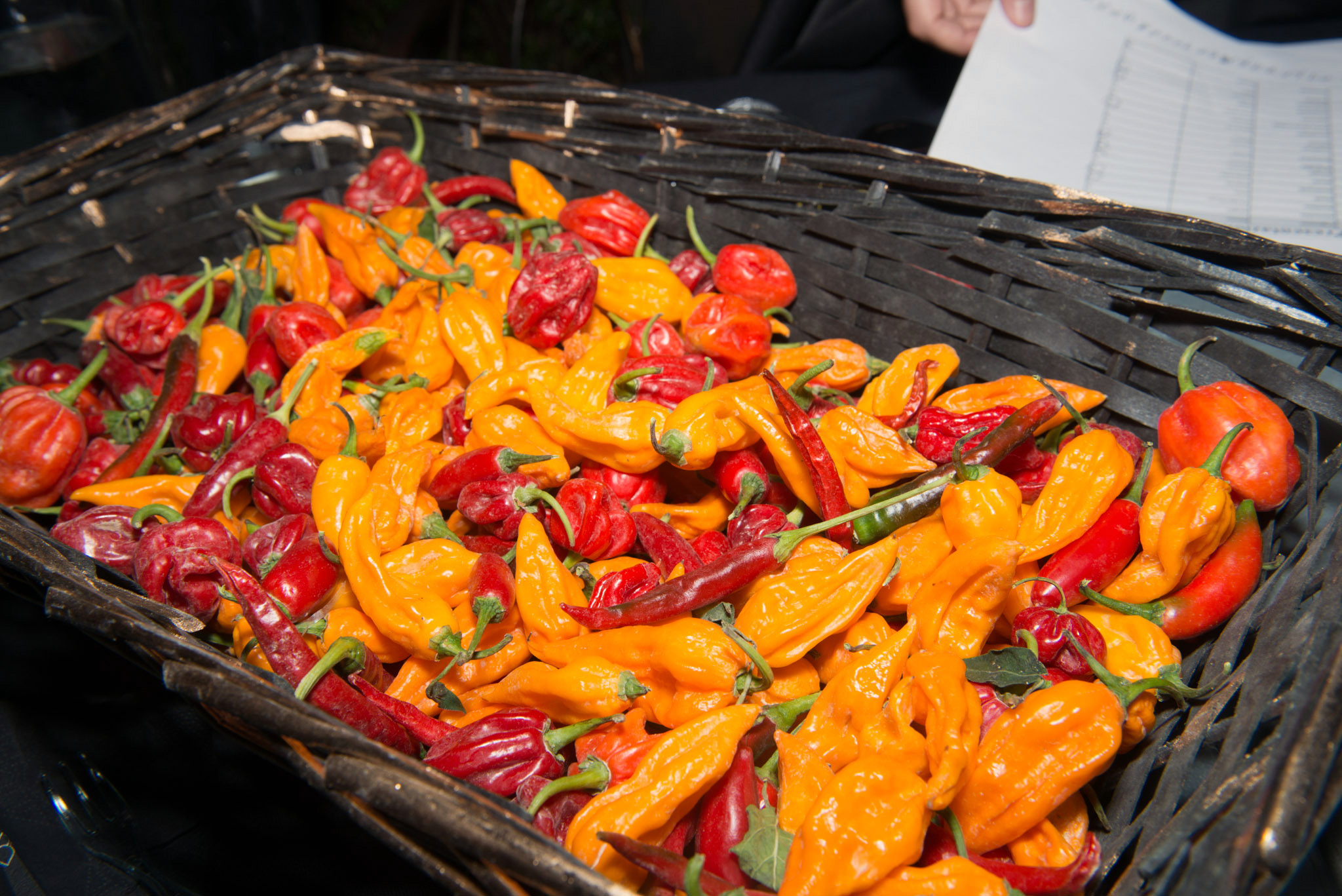 Rieti. Un cuore di peperoncino per un&#8217;estate piccante