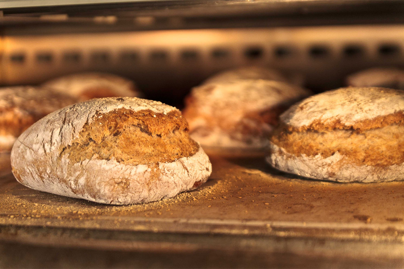 Il migliore pane di Milano nel nuovo mercato. Insieme alla pizza