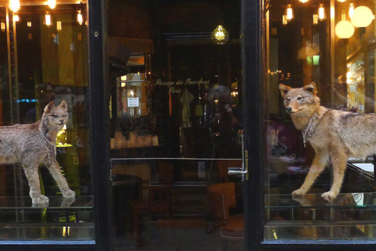 Quanto spendete al Caffè Stern degli Alajmo che ha aperto a Parigi