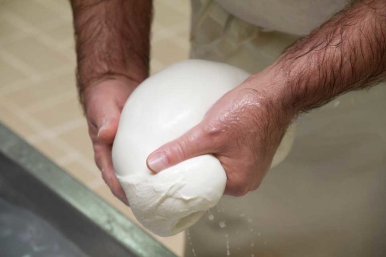 Milano. Dove comprare e mangiare la mozzarella di bufala