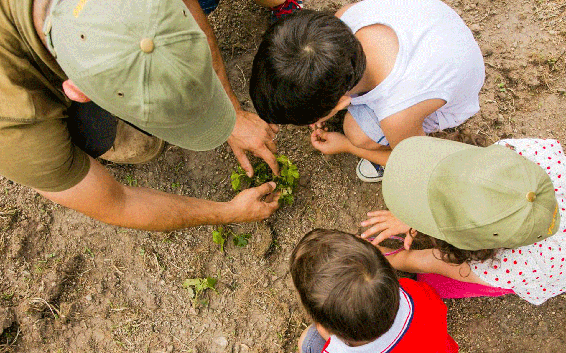 Roma. La cucina di eccellenza aiuta i bambini