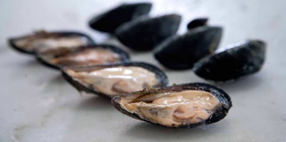 Venezia. Osteria Ca&#8217; del Vento che vuol dire pesce e piatti pugliesi