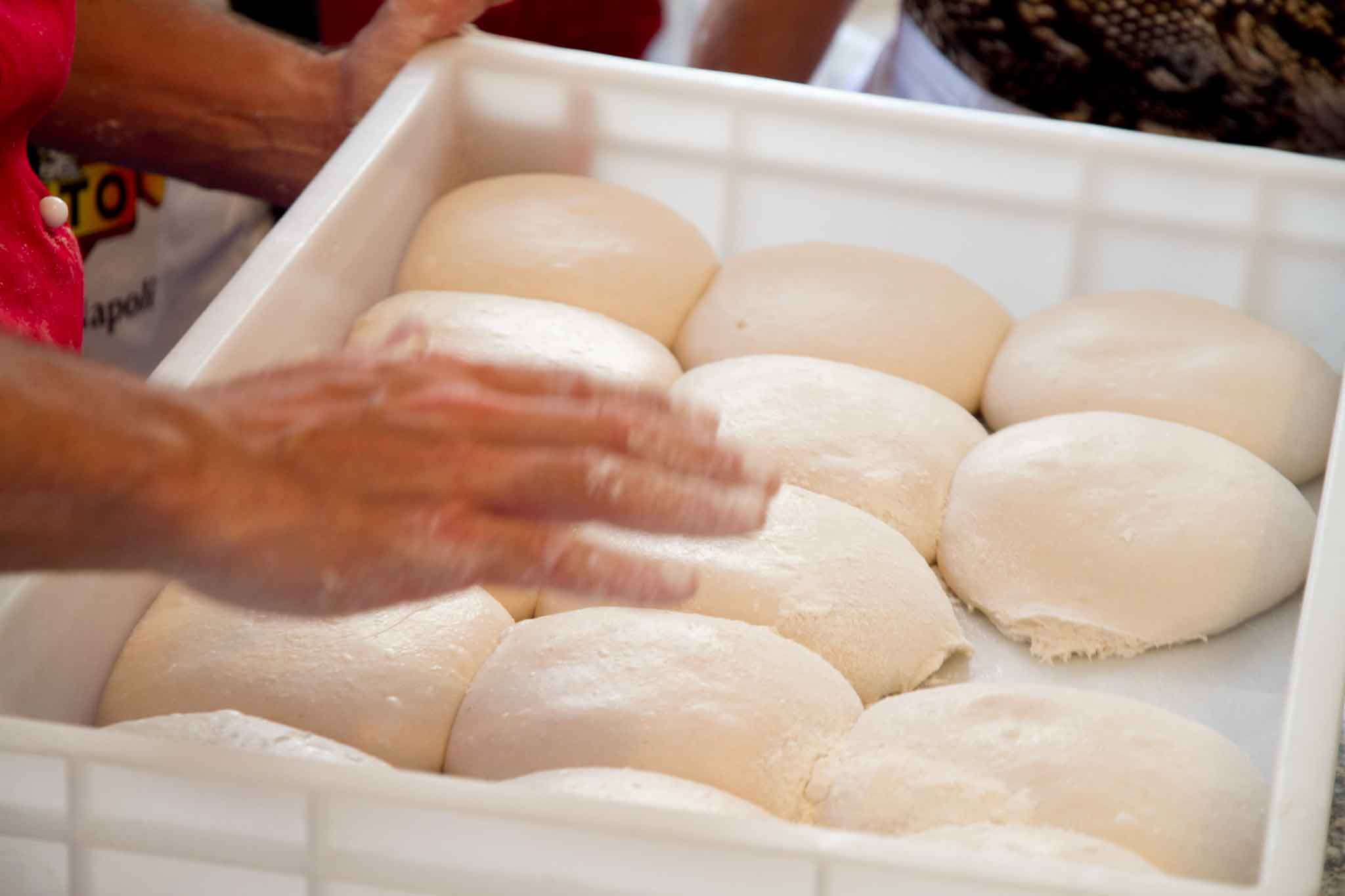 Pizza fatta in casa: scegliere tra lievito naturale e lievito di birra