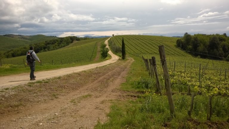 Chianti. Vino, formaggio e trekking per tre domeniche