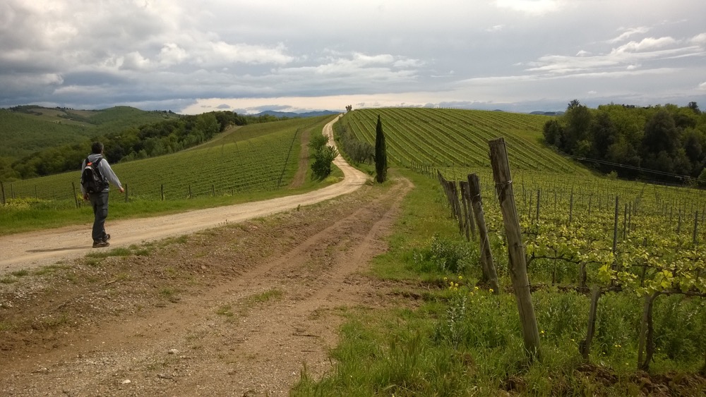 Chianti. Vino, formaggio e trekking per tre domeniche