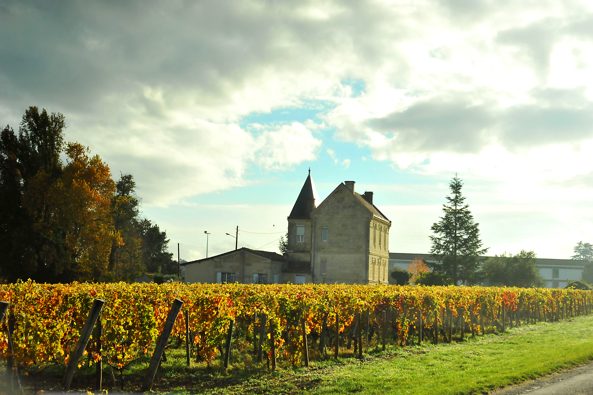 Bordeaux. A spasso tra gli Chateaux di Saint-Émilion