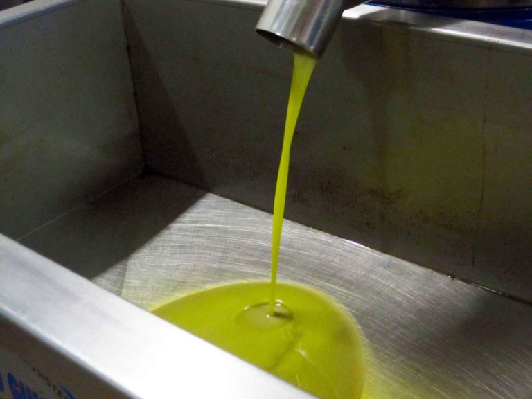 Olio extravergine di oliva: Rajo, eccellenza dell&#8217;Umbria