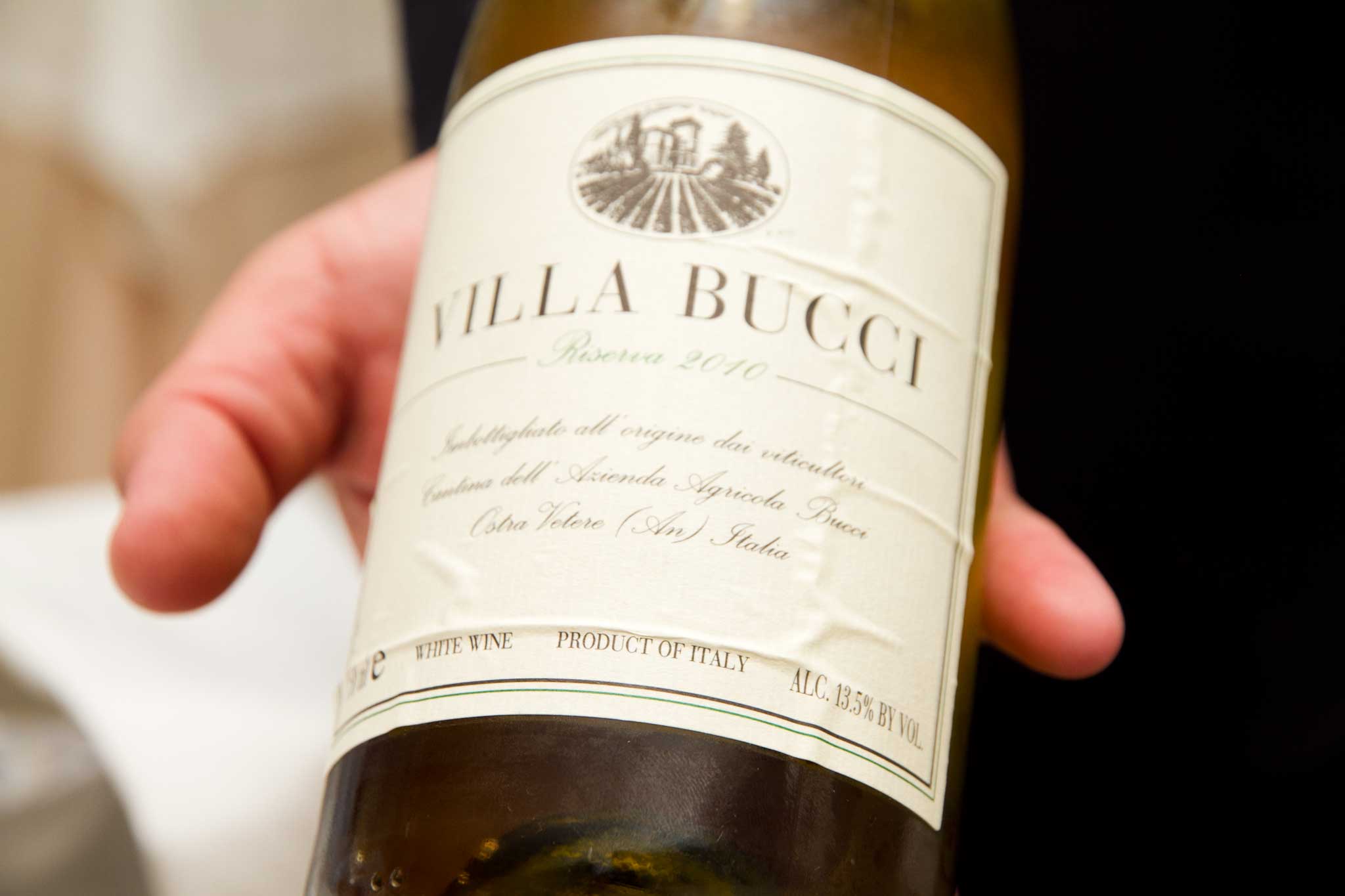 Verdicchio Villa Bucci: il migliore vino bianco del mondo. Ode per Ampelio