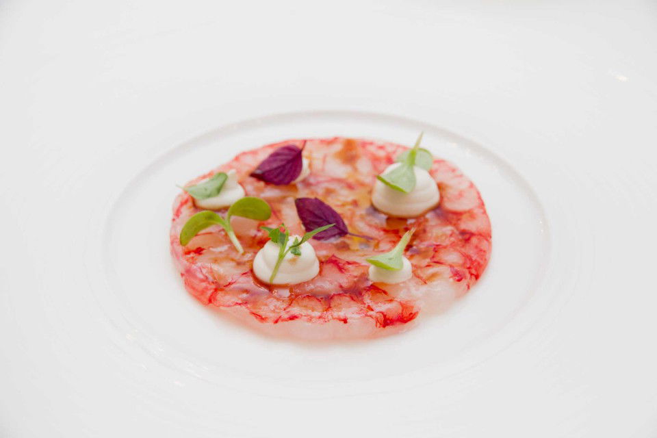 crudo di gamberi