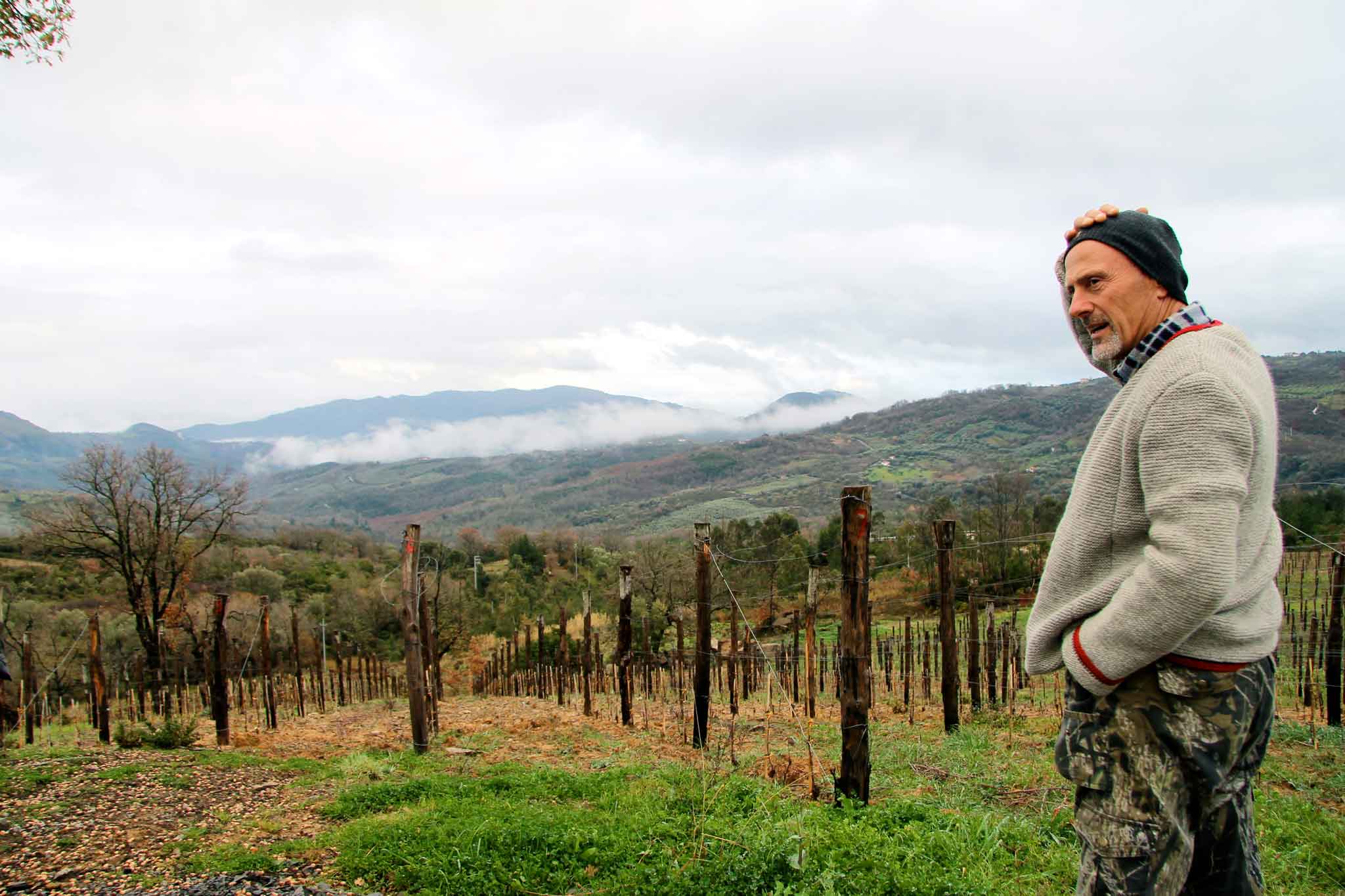 Cilento. Silva Plantarium, il vino di Mario Donnabella che fa sognare