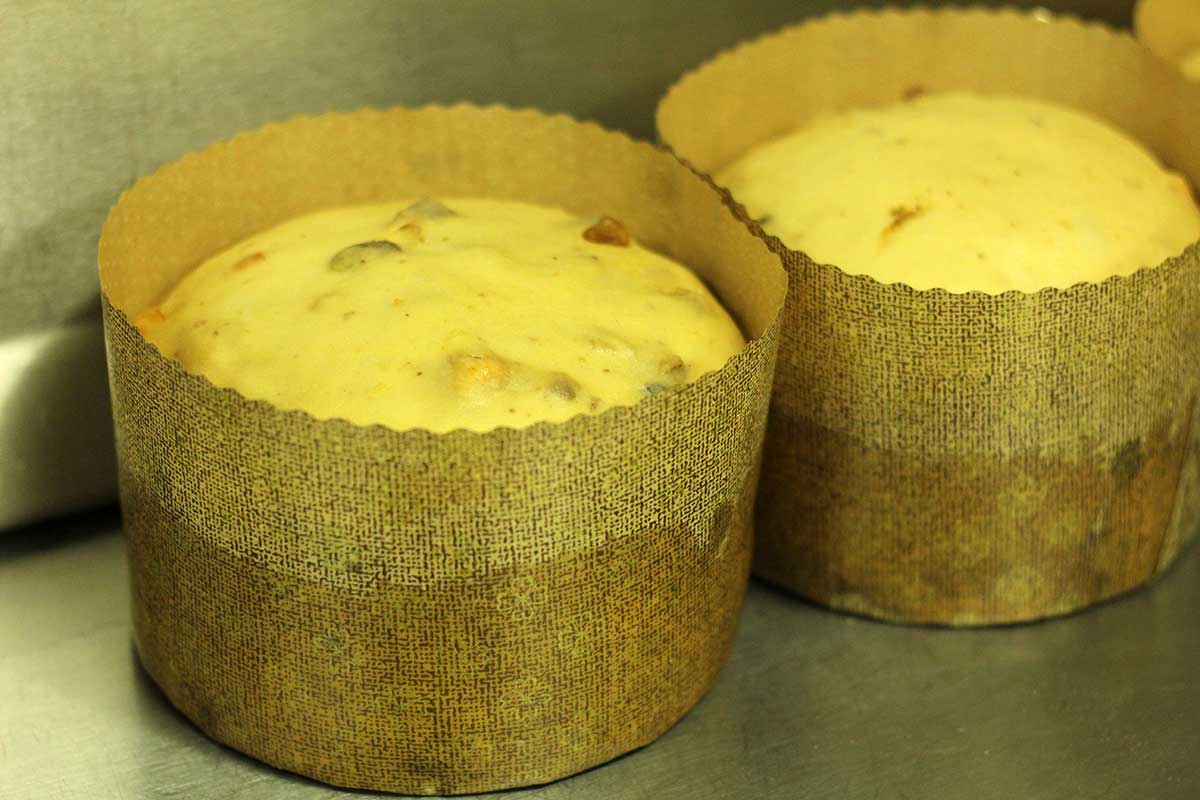 panettone cilentano