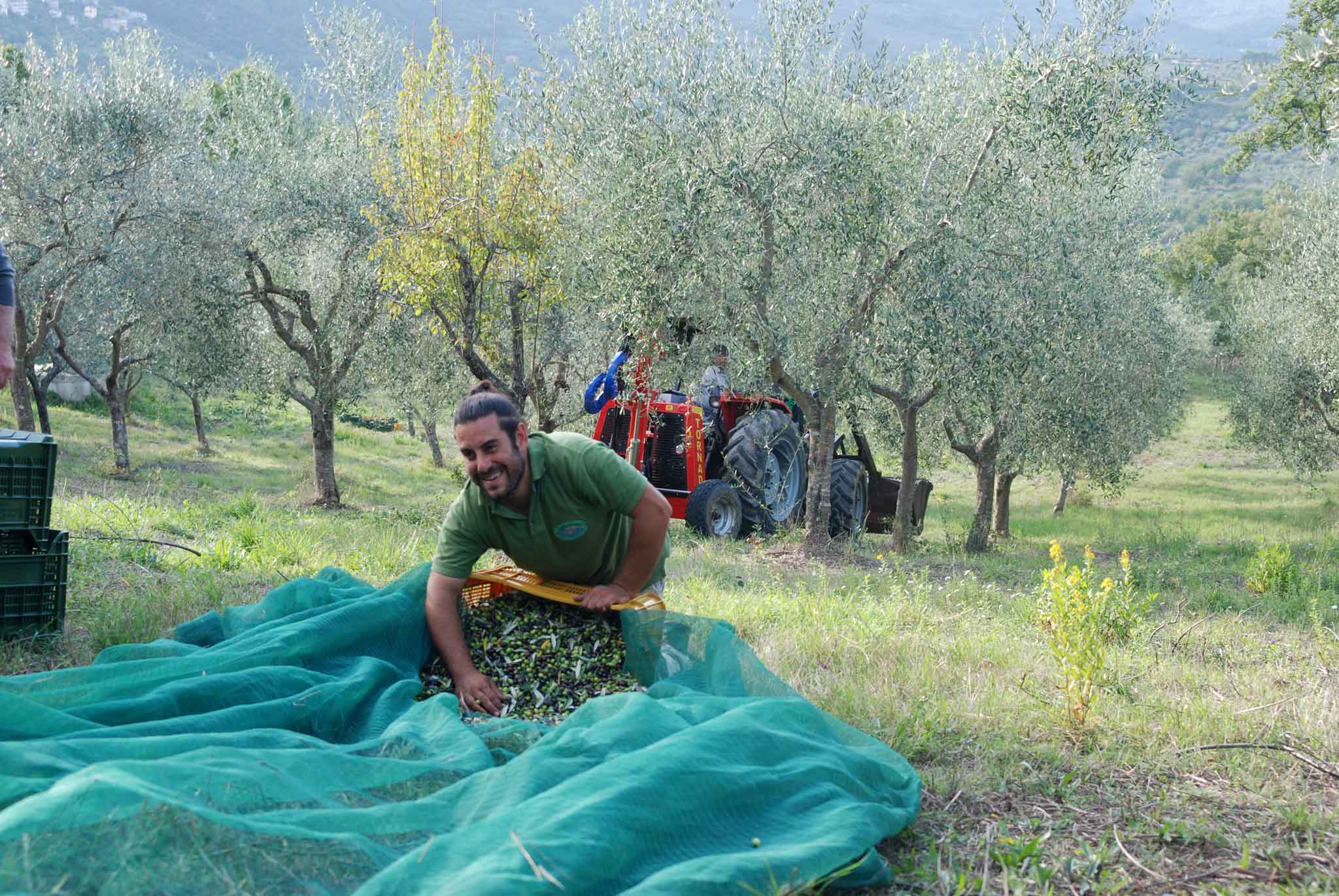 Cilento. Farsi conquistare dall&#8217;eccellente olio extravergine di oliva di Marco Rizzo, qui a Felitto