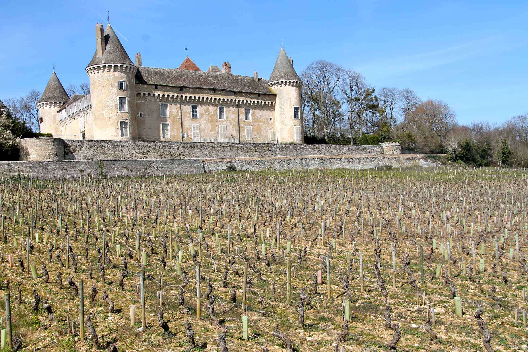 Ho amato il vino di Borgogna a les Grands Jours de Bourgogne