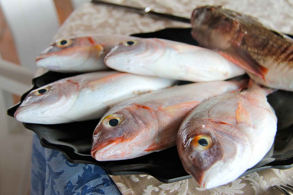 procida pesce fresco luveri