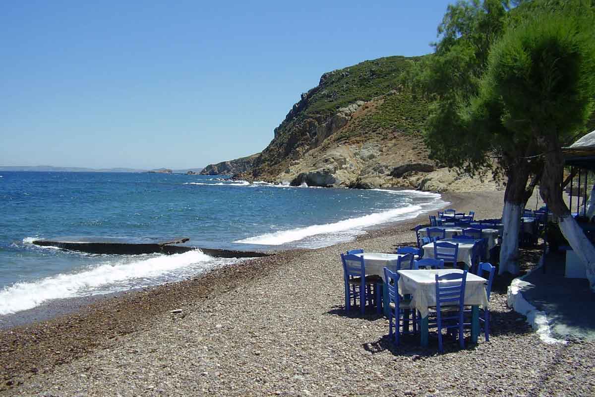 Milano. La Grecia più vera non è alla Taverna Greca Stelios