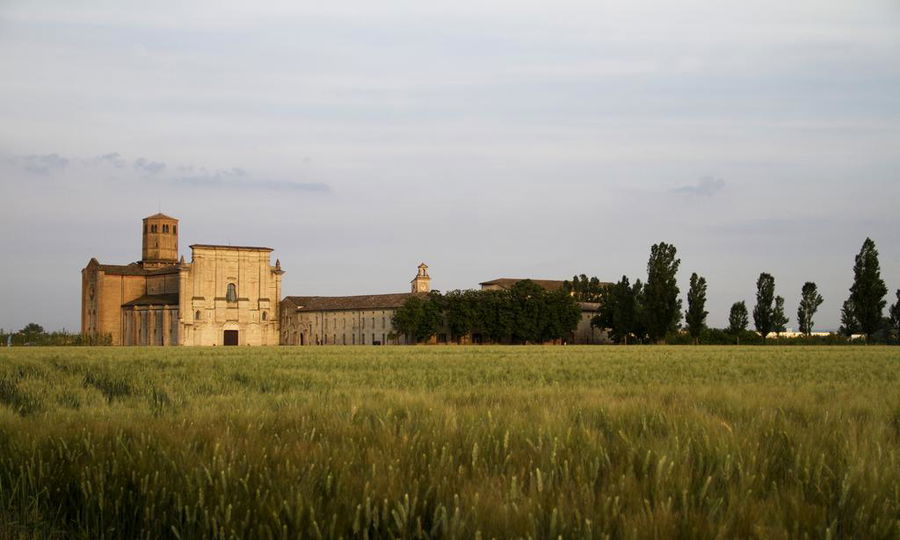 Parma. Trattoria Le Viole la tradizione a buon prezzo